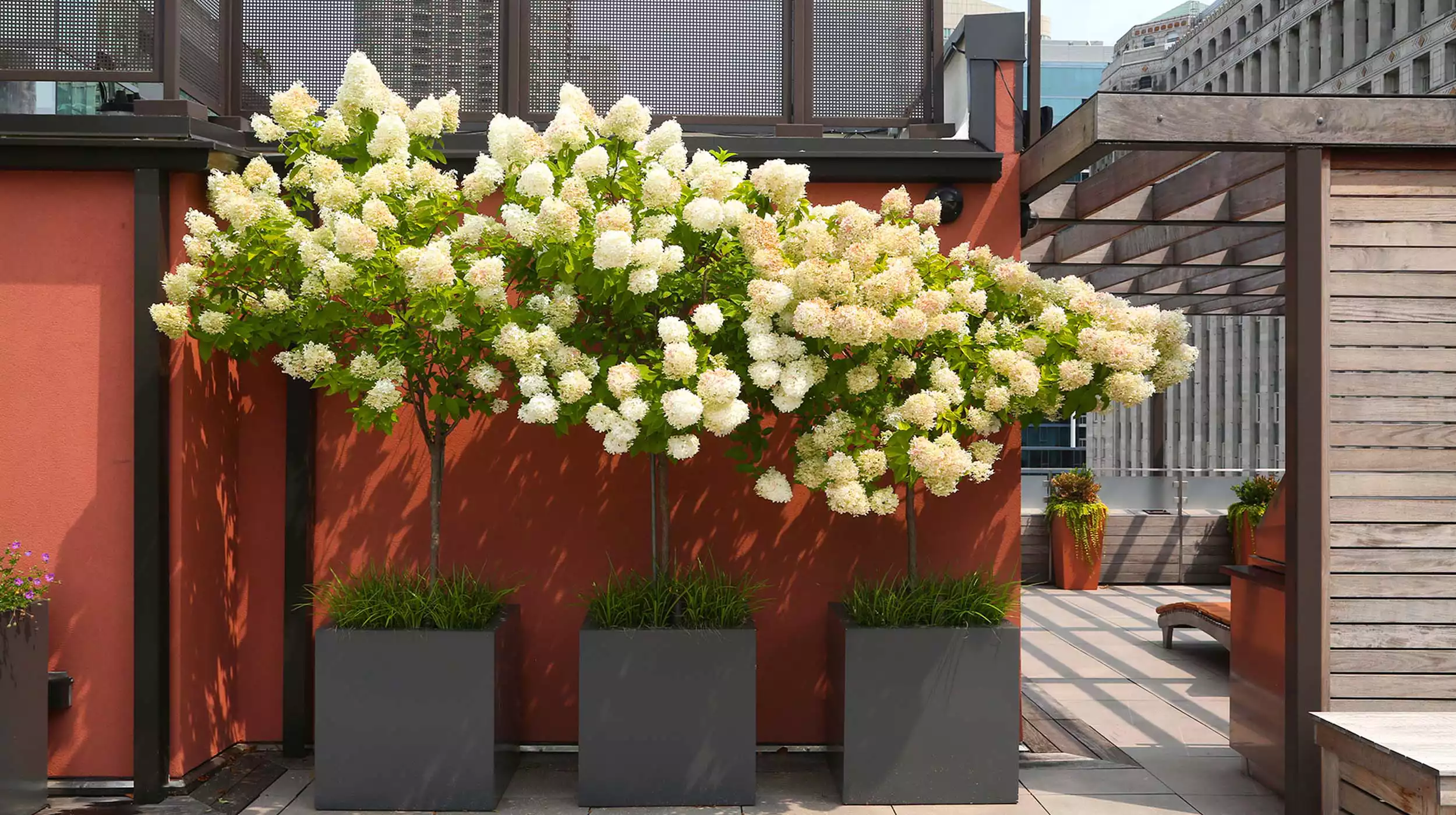Fiberglass Planters - Gallery image 7