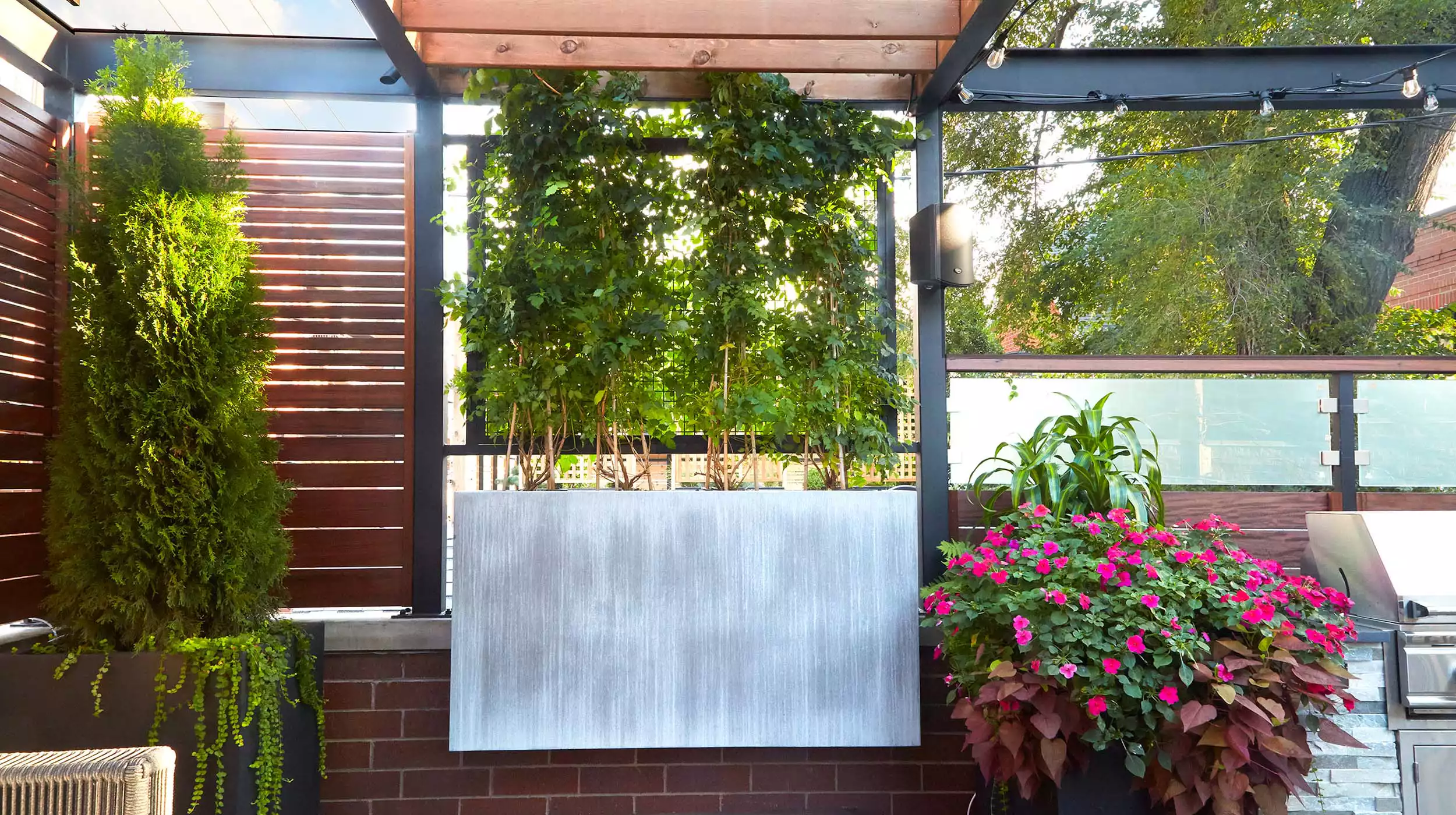 Iron & Ipe Garage Roof Deck - Gallery image 4