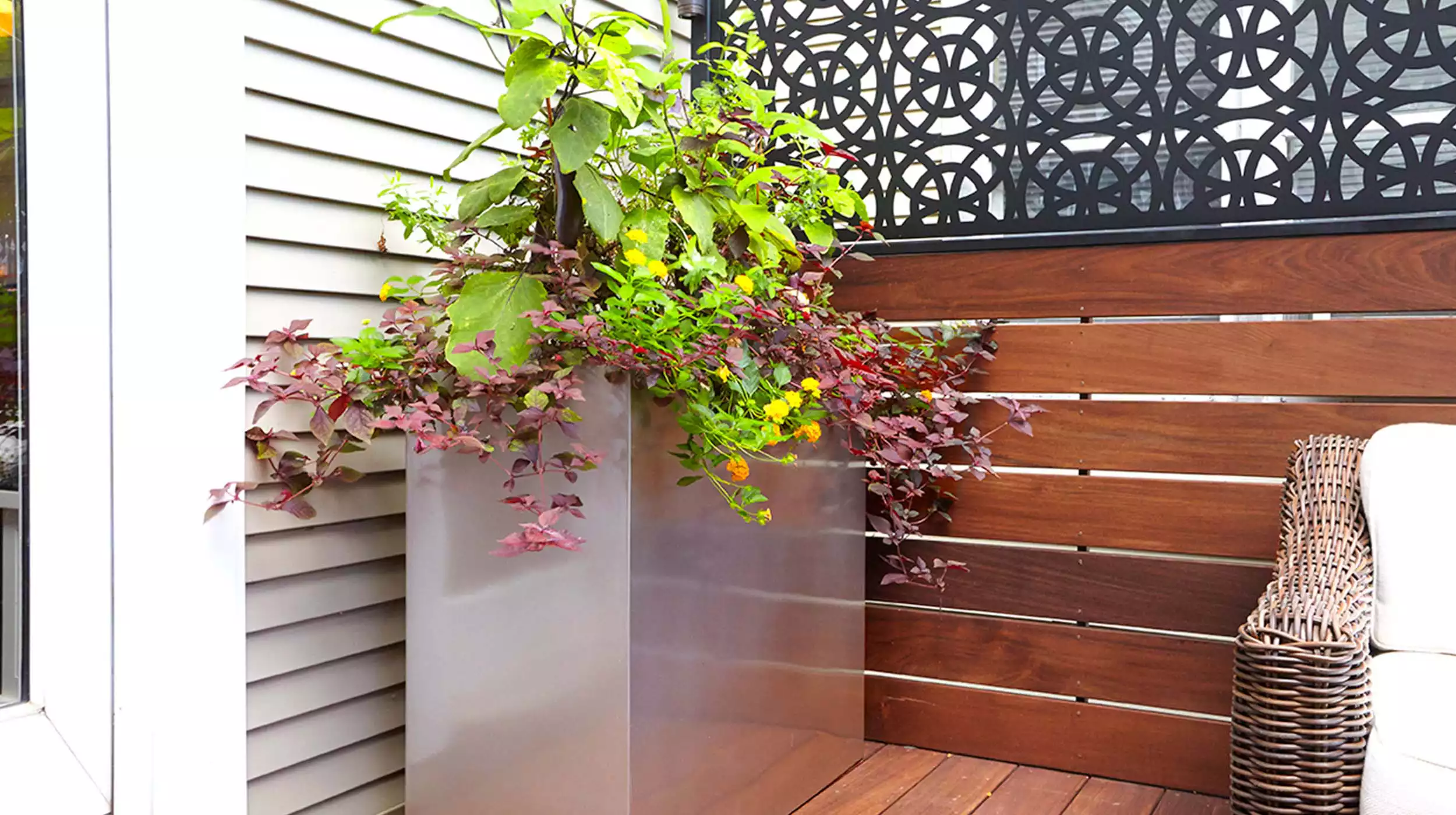 Tropical Hardwood Terrace - Gallery image 2