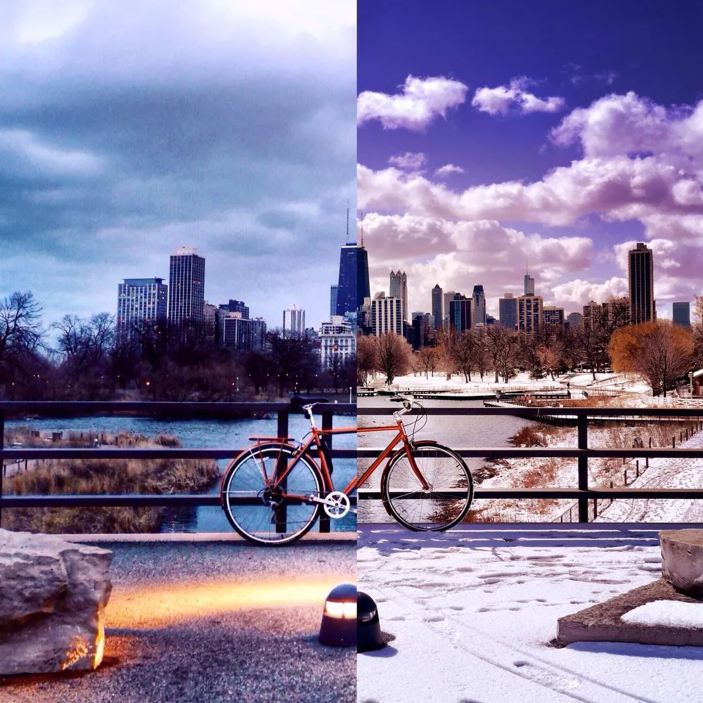 Nature Boardwalk at Lincoln Park