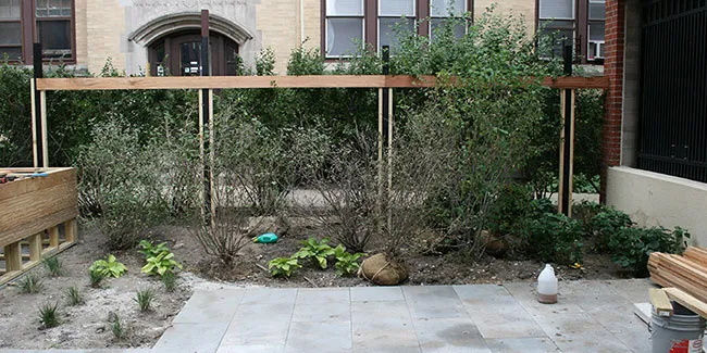 Reside on Barry rooftop design